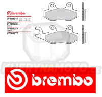 Brzdové destičky Brembo YAMAHA YXR Rhino Left/Rear 450 r.v. Od 06 -  směs SX Přední