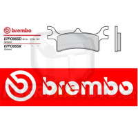 Brzdové destičky Brembo POLARIS Predator e 500 r.v. Od 06 -  SD směs Zadní