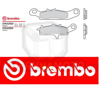 Brzdové destičky Brembo SUZUKI LT-V Quadrunner Twin Peaks (left cal.) 700 r.v. Od 04 -  směs SD Přední