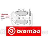 Brzdové destičky Brembo RIEJU RS1 CASTROL 50 r.v. Od 01 -  směs XS Přední