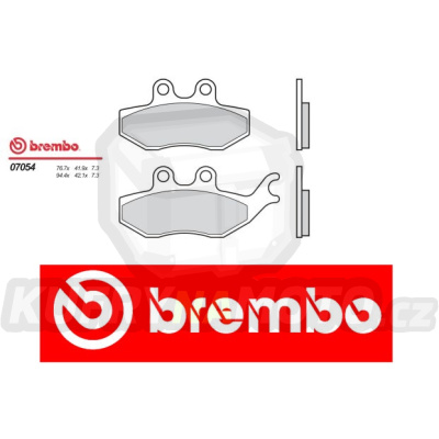 Brzdové destičky Brembo ITALJET MILLENIUM 125 r.v. Od 01 -  Originál směs Zadní