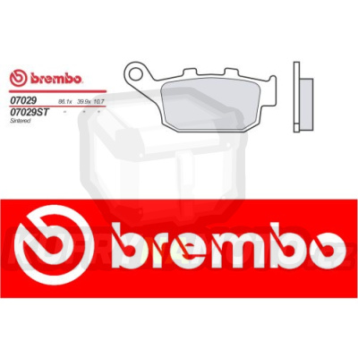 Brzdové destičky Brembo HONDA PANTHEON FES 150 r.v. Od 03 -  XS směs Zadní