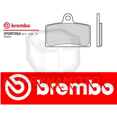 Brzdové destičky Brembo DERBI GPR NUDE 125 r.v. Od 05 -  směs SA Přední