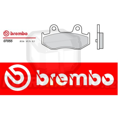 Brzdové destičky Brembo KAWASAKI SC EPSILON 250 r.v. Od 02 -  XS směs Zadní