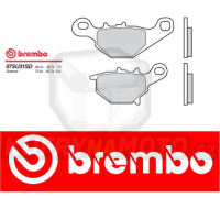 Brzdové destičky Brembo SUZUKI RM 85 r.v. Od 05 -  SD směs Zadní