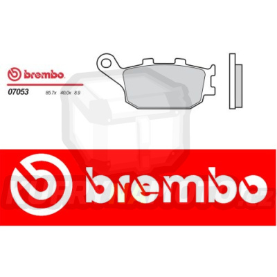 Brzdové destičky Brembo HONDA FORZA 250 r.v. Od 00 - 04 Originál směs Zadní