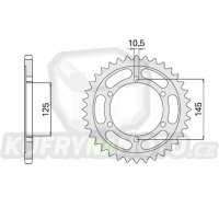 Řetězová rozeta YAMAHA TDM 850 1996-1998 42 zubů, řetěz 525 - akce