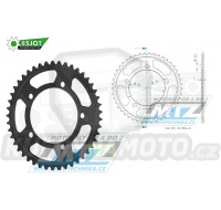 Rozeta ocelová (převodník) 0010-45zubů ESJOT 50-29064-45 - BMW F750GS+F850GS+F900R+F900XR / 18-20 + S1000RR / 19-20