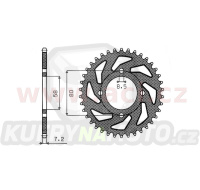 ocelová rozeta pro sekundární řetězy typu 428, SUNSTAR (41 zubů)
