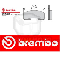 Brzdové destičky Brembo YAMAHA YFM GRIZZLY FWAP 4X4 660 r.v. Od 02 -  SD směs Zadní