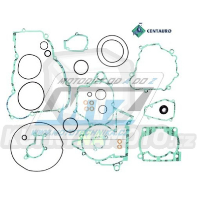 Těsnění kompletní motor Beta RR250+RR300 / 13-24 + Xtrainer 250+300