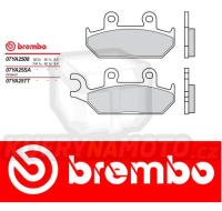 Brzdové destičky Brembo YAMAHA XTZ 660 r.v. Od 91 -  směs TT Přední